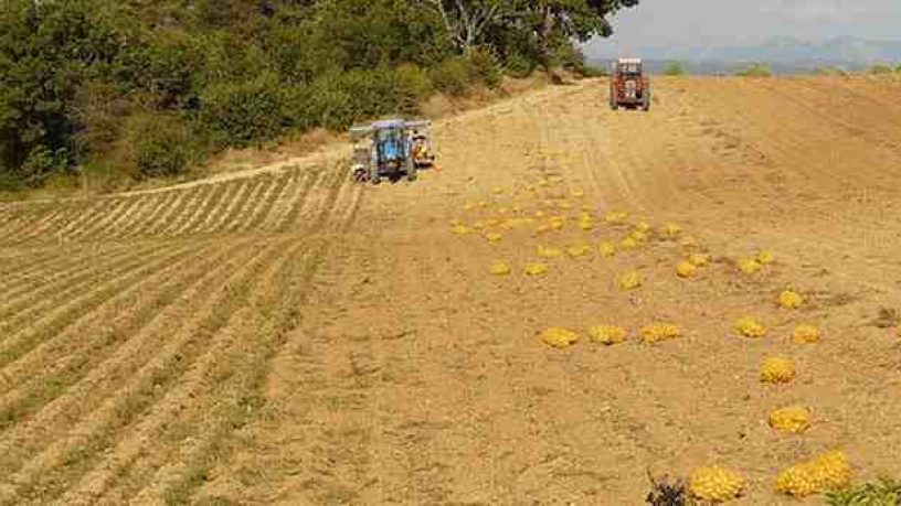 Qu’est-ce que le fonds national de gestion des risques en agriculture ?