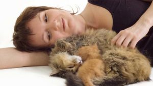 Assurance animale : Peut-on transmettre la grippe à son compagnon?