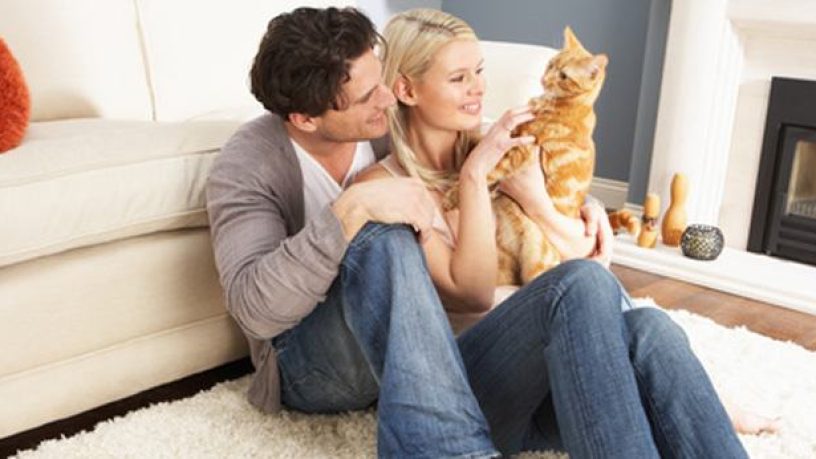 Assurance animaux : Les Français, leurs chiens et chats et l’assurance santé animale