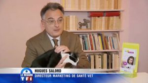 Assurance santé chien et chat : le journal de TF1 mène l’enquête
