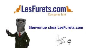 Comparateurs : Hervé le furet fait son apparition sur les écrans