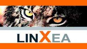 Assurance-vie : Linxea offre un rendement de 4,05% pour son meilleur contrat