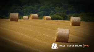 Assurance récolte : les agriculteurs recevront une subvention à hauteur de 65% des contrats de base