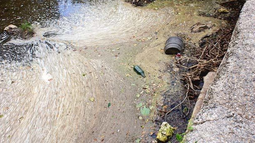 Assurance entreprise : Un guide interactif pour gérer le risque environnemental