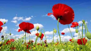 Printemps : un grand bol d’air