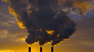 Entreprises : L’assurance “responsabilité environnementale”