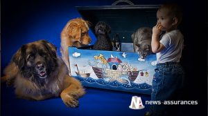 Assurance de biens : 50 millions d’euros dépensés chaque année par les Français à cause de leurs animaux