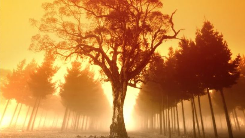 Chaleur : Que faire en cas de canicule et forte chaleur ?