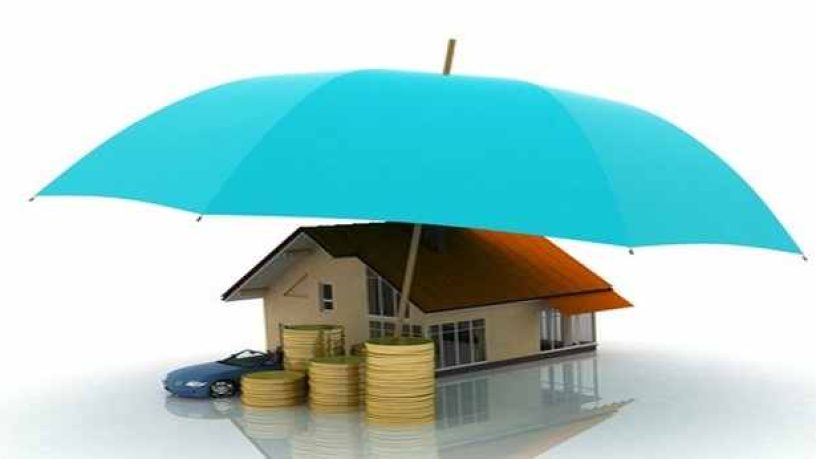 Loi Hamon: une assurance emprunteur sur mesure devient possible