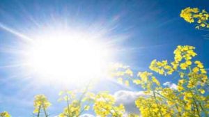 Météo France : Les personnes fragiles n’ont pas trop souffert de la canicule cet été