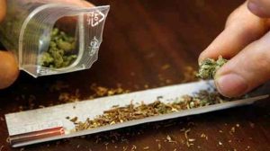 Santé : A l’aube d’une dépénalisation du cannabis ?
