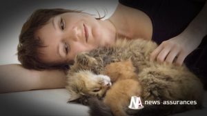 Assurance santé animale : installer la litière de son chat