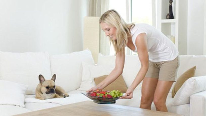 Assurance animaux : L’ail, même cuit, peut être toxique pour les chiens et chats