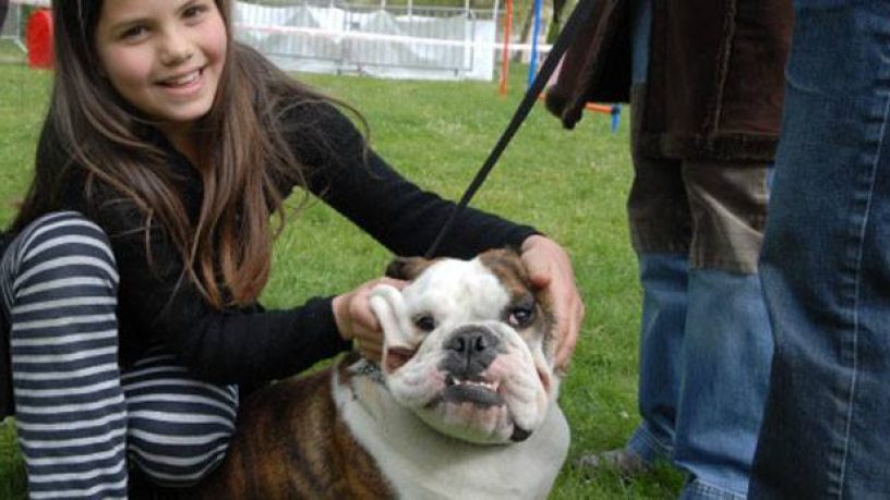 Assurance animaux : Bien-être et santé, certaines races de chiens en voie de transformation