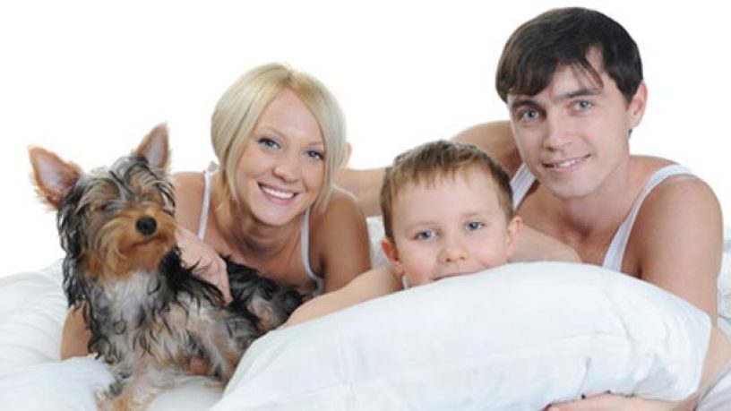 Assurance animaux : Dormir avec son chien ou son chat comporte-t-il des risques ?