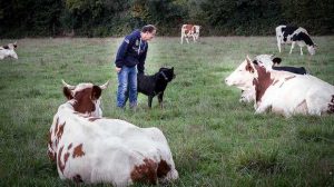 Assurance agriculteurs : La MSA répond aux questions retraites lors d’un tchat