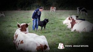 Suicide : les agriculteurs sont une population à risque