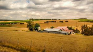 Orages de grêle : Un dégrèvement de la taxe sur le foncier pour les agriculteurs