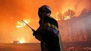 Incendie / Gironde : Un feu de forêt ravage 450 hectares de pins à Lacanau