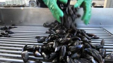 Vidéo : Que faire pour être indemnisé en cas d’intoxication alimentaire ?