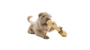 Assurance animale : Bien choisir les jouets et friandises pour chien et chat