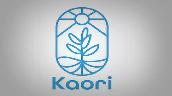 Analyse par Good Value for Money du contrat Kaori Vie centrée autour de la finance responsable et durable