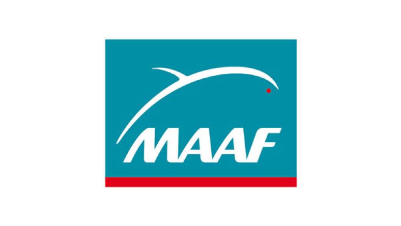 MAAF vous dit tout ce qu’il faut savoir sur les prothèses dentaires