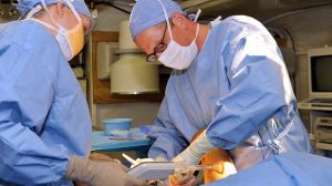 Que faire pour être pris en charge en cas de cancer ?