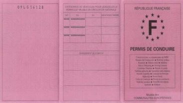 Permis auto : Une assurance pour récupérer des points perdus ?